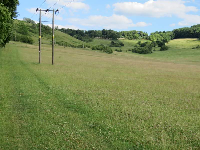 Pete's Walks Cowleaze Wood, Chinnor, Ibstone (page 1 of 7)